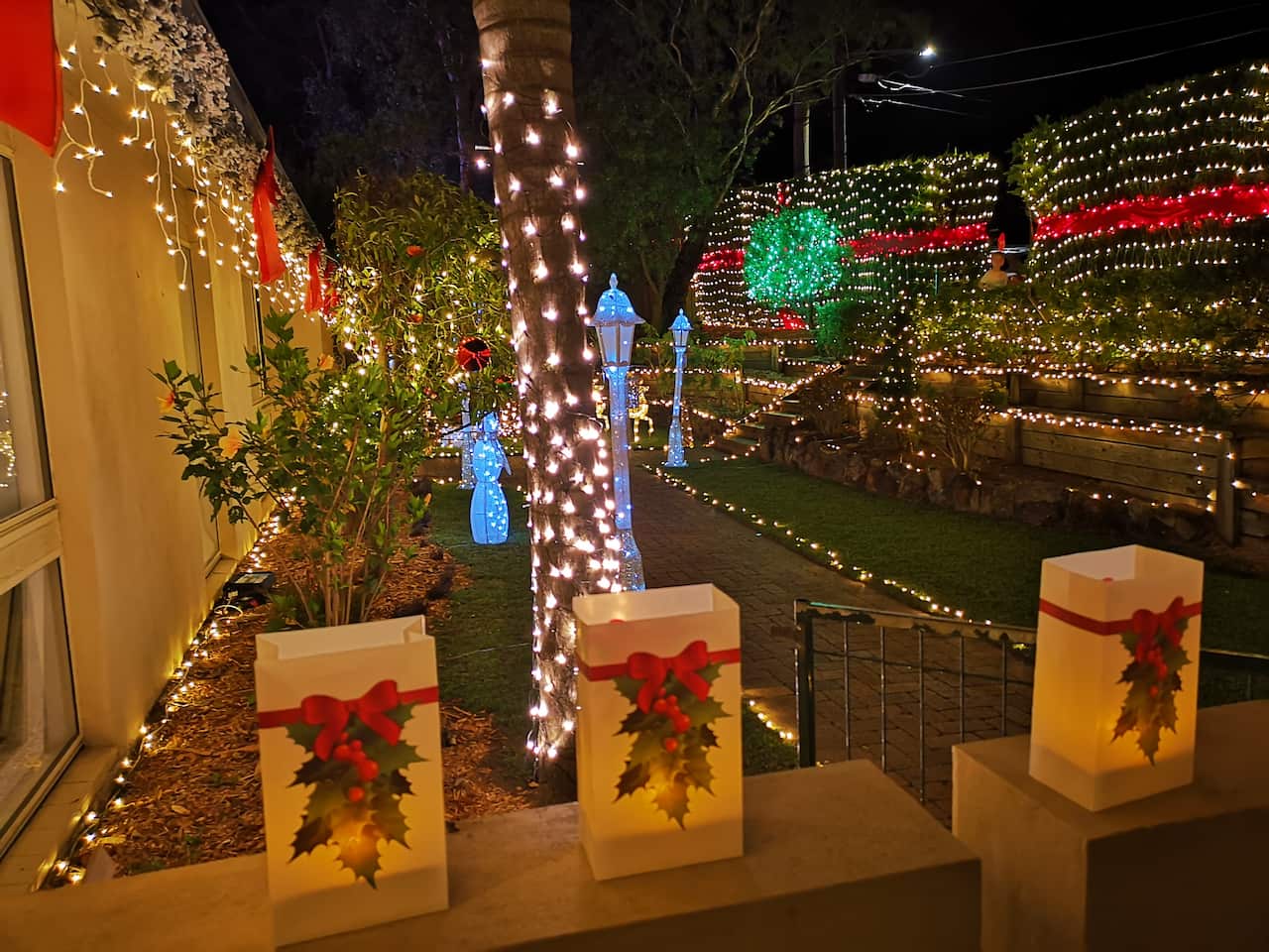 Borgnis Street Christmas lights