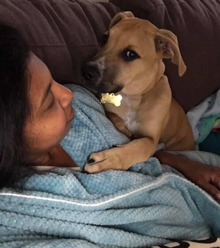 Visha Sunyasi, who hasn't seen her dog in two years, has been forced to put him up for adoption.