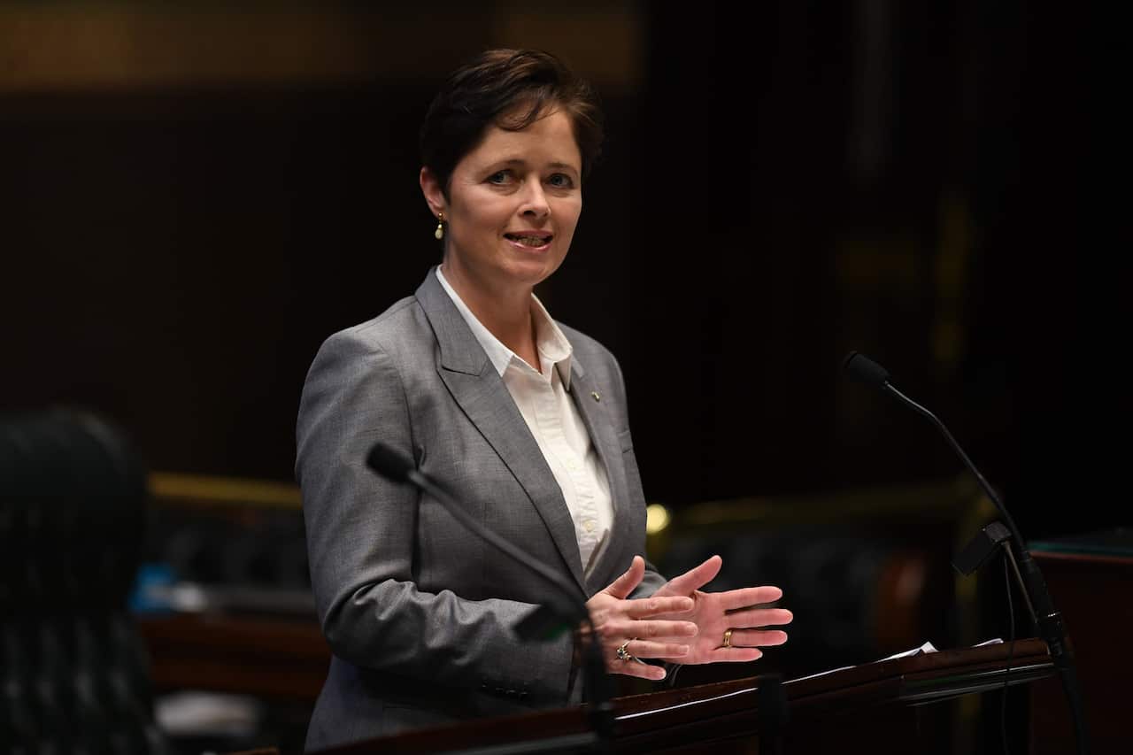 Member for Mulgoa Tanya Davies speaks during amendments to the introduction to the Reproductive Healthcare Reform Bill 2019.
