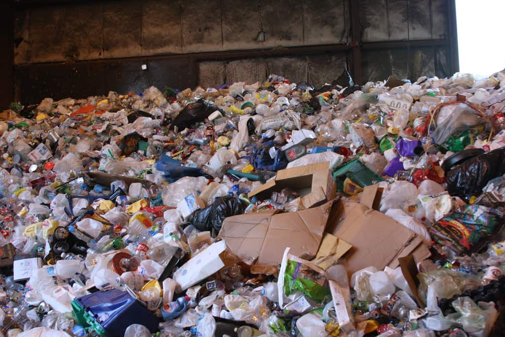 What can we recycle and what not?