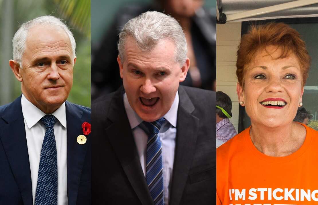 Combo image: PM Malcolm Turnbull, Labor MP Tony Burke and One Nation leader Pauline Hanson