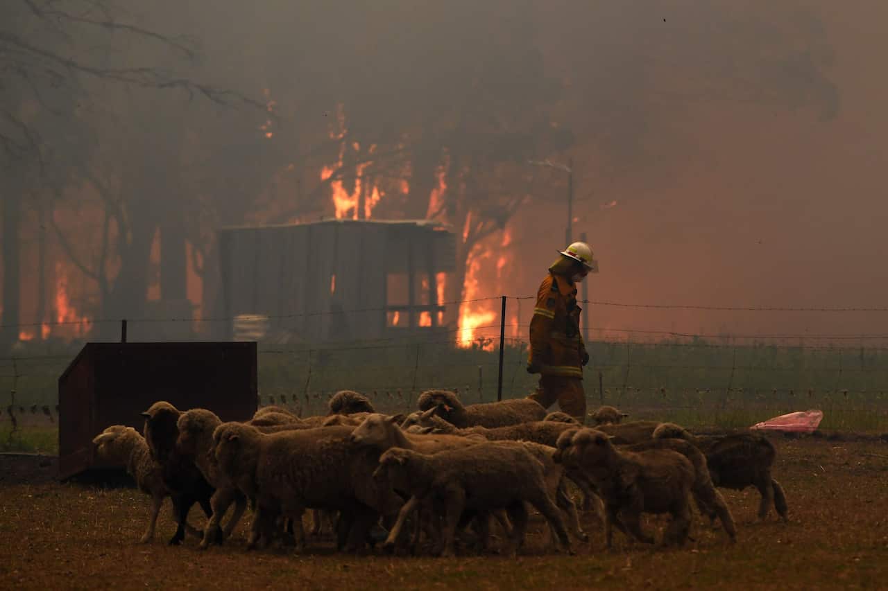 Rural Fire Service (RFS) crews engage in property protection of a number of homes near the town of Tahmoor.