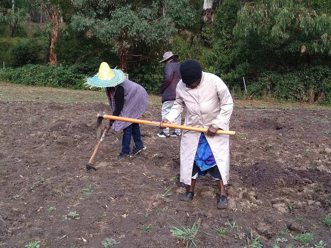Some of the volunteers ploughing the land