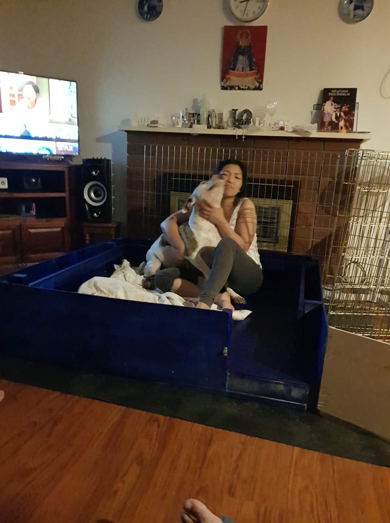 covid 19, coronavirus, amstaff