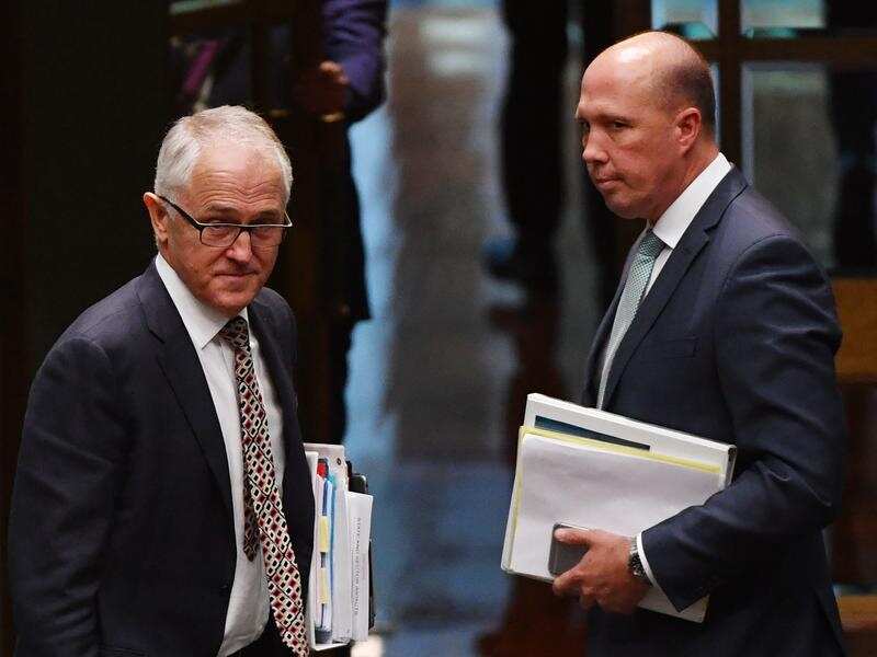 Malcolm Turnbull and Peter Dutton in parliament.