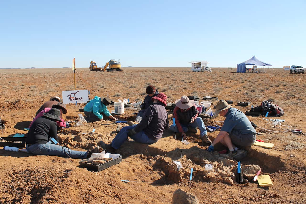 The dig for dinosaur bones in Eromanga, in Queensland's outback.