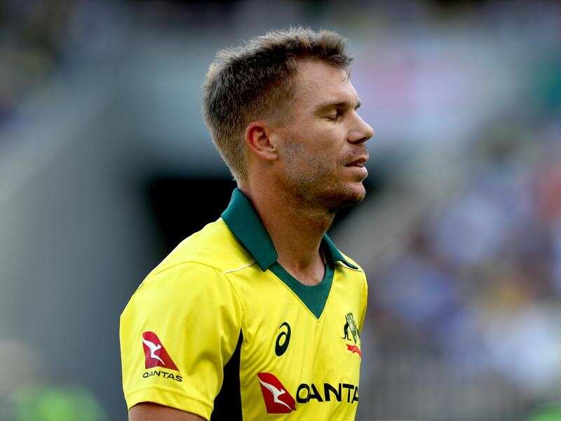 A file image of former Australian vice-captain David Warner