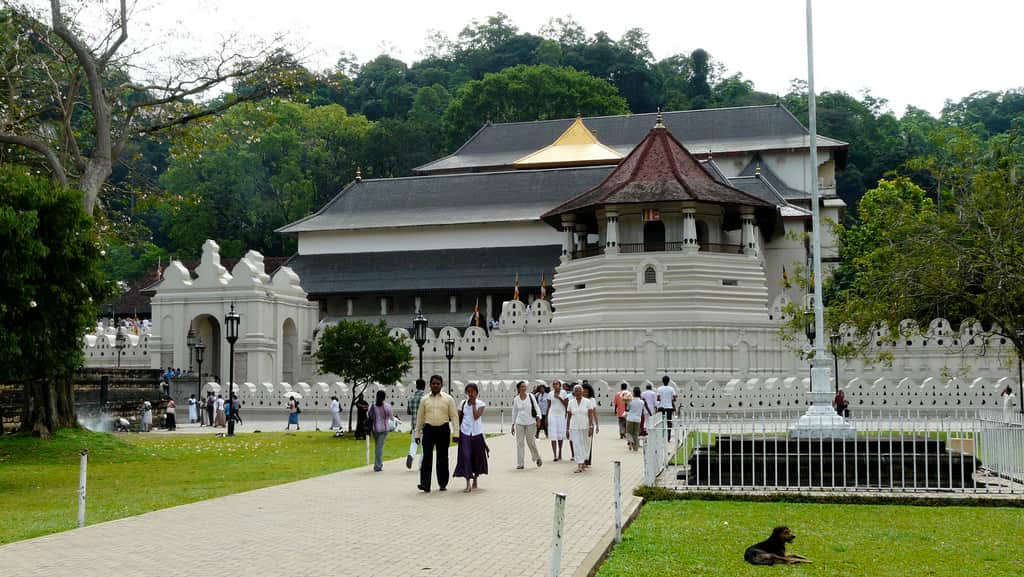 Sri Lanka ranked top country for travel in 2019.