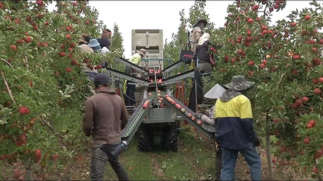 wafanyakazi katika eneo lakikanda la Australia