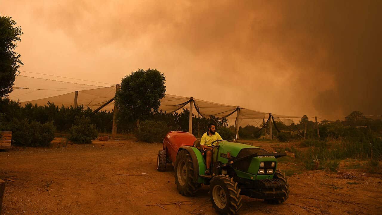 Property owners use a commercial watering machine to hose down their property as the Grose Valley Fire approaches the Bilpin Fruit Bowl, at Bilpin.