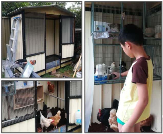 看!小外孙在里面都不觉得臭味。