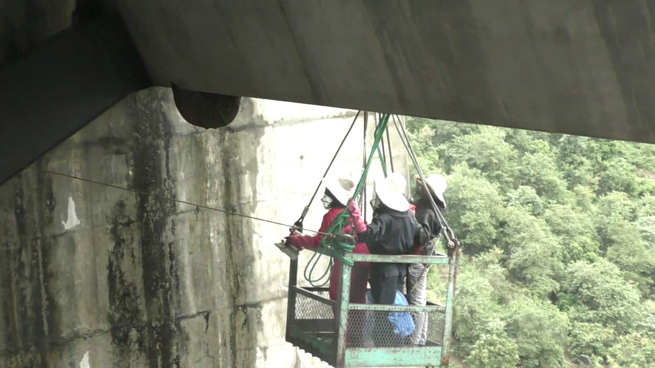 Removal of wasps on Victoria Dam.