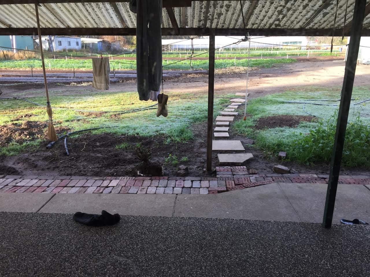 Mr. Zhou's vegetable garden before floods