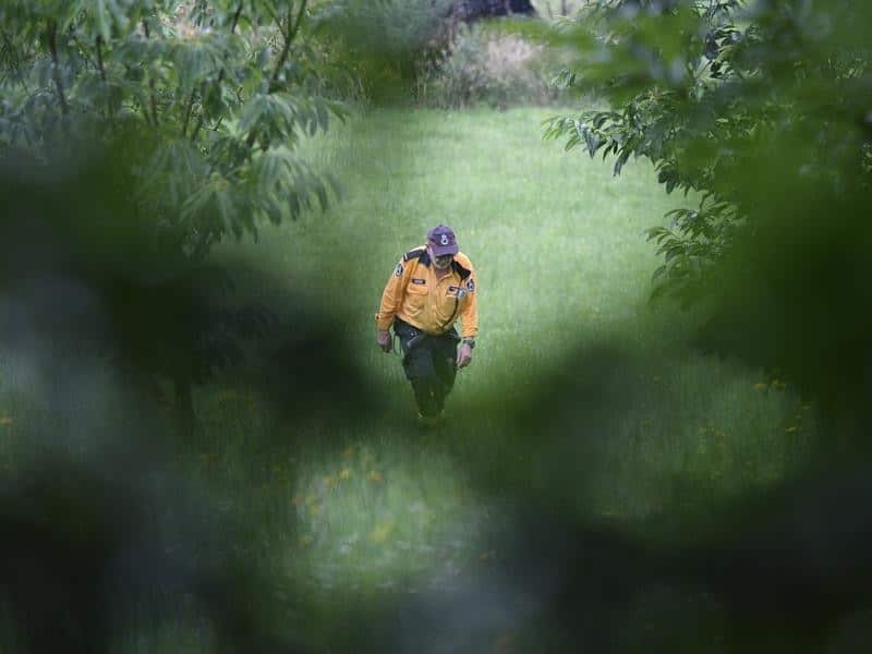 NSW RFS member in the search for Charlise Mutten