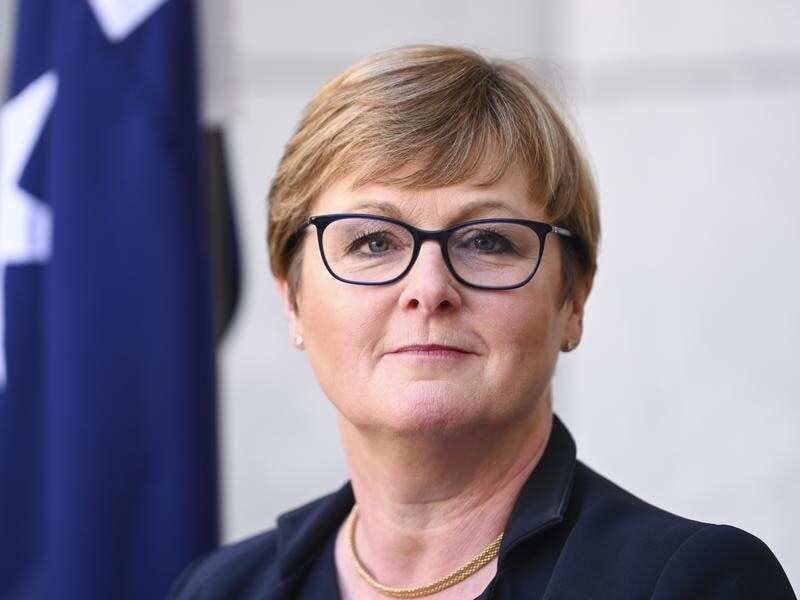 Liberal Senator Linda Reynolds.