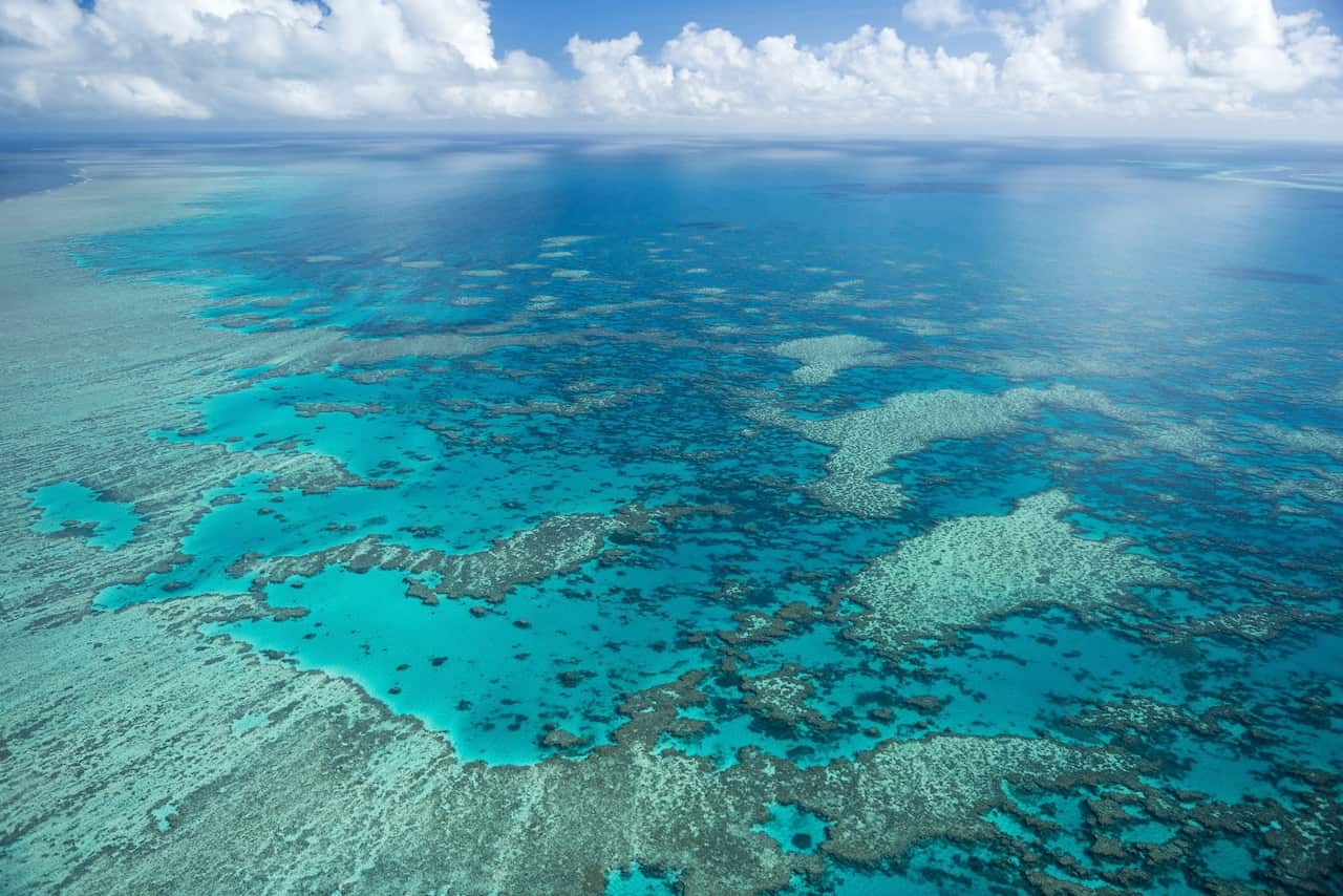 An undated photo of Hardy Reef, part of the Great Barrier Reef.