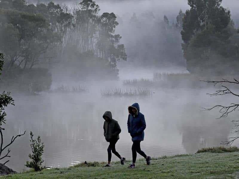 Two early walkers brave the cold weather.