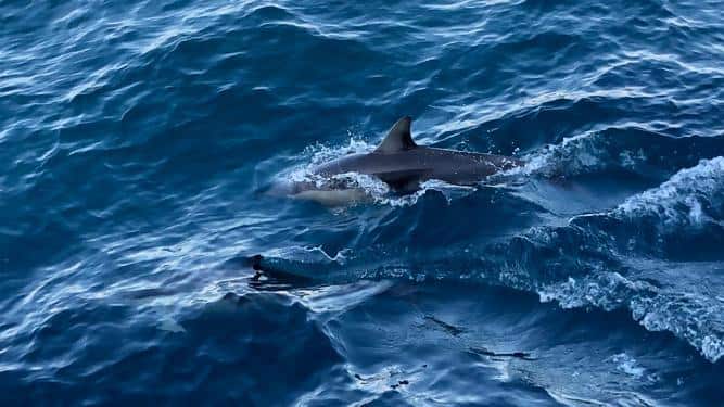 community news regional tourism