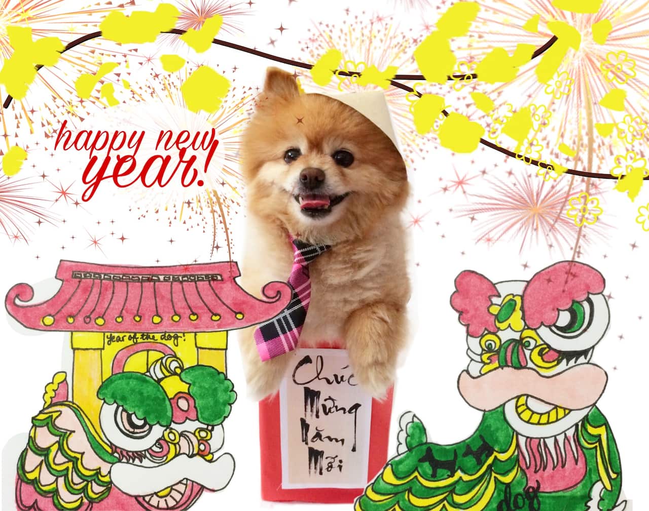 SBS’s Dog of the Year Lunar New Year competition 