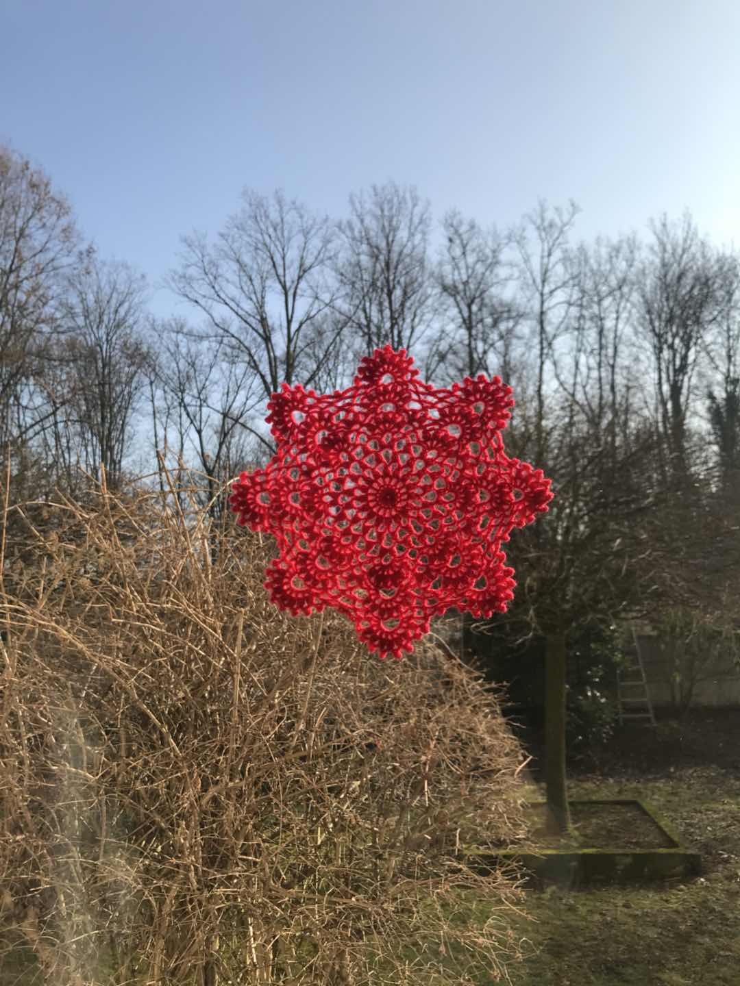 Chinese New Year in Germany