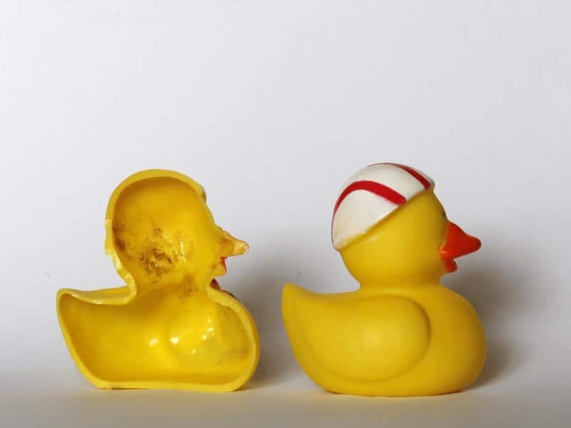 Rubber ducks