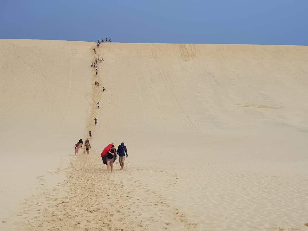 Image of people sand-tobogganing on Moreton Island