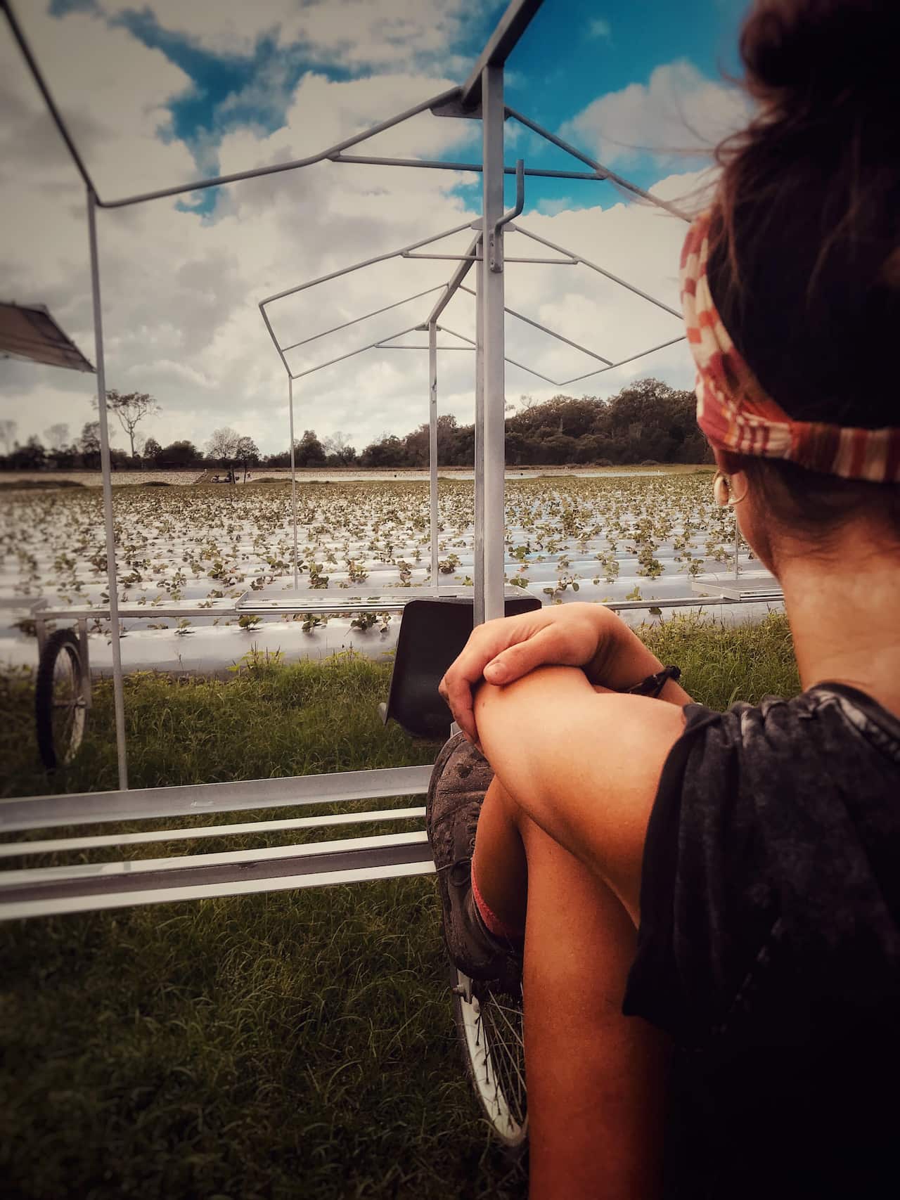 Denise Giglio nelle farm