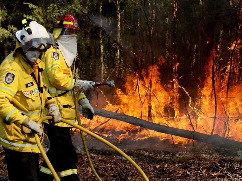 RFS crew members fight a fire (file image)