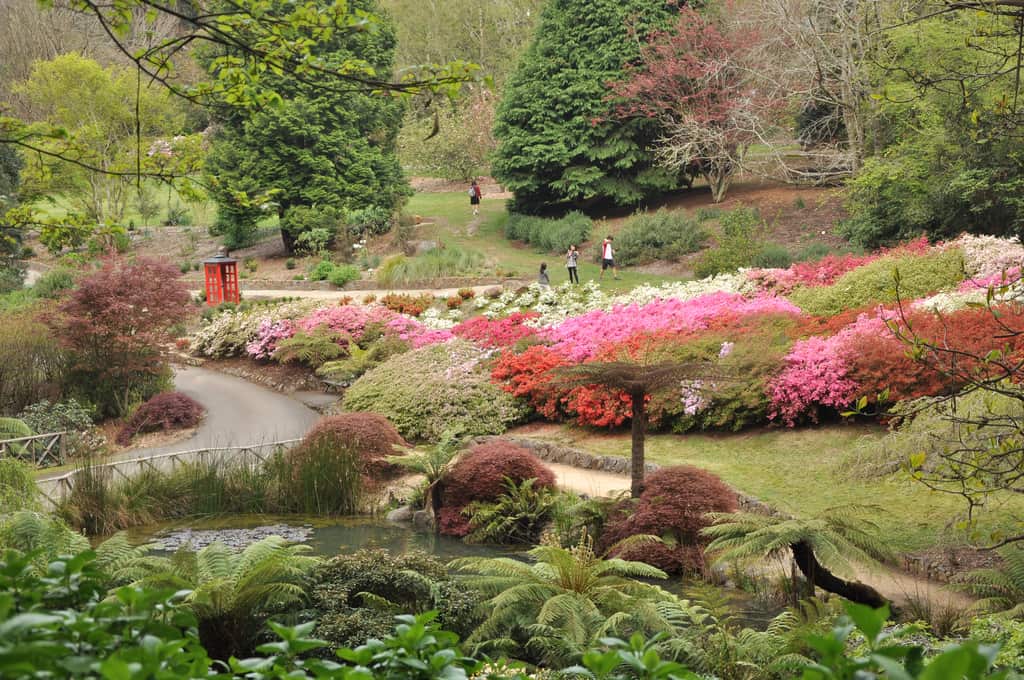 National Rhododendron Garden
