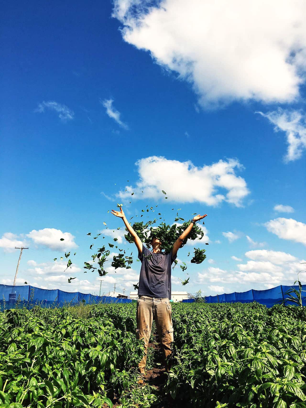 Raffaella Di Molfetta durante gli 88 giorni delle farm.