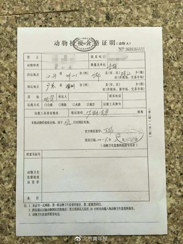 活动主办方的“动物检疫合格证明”被指造假