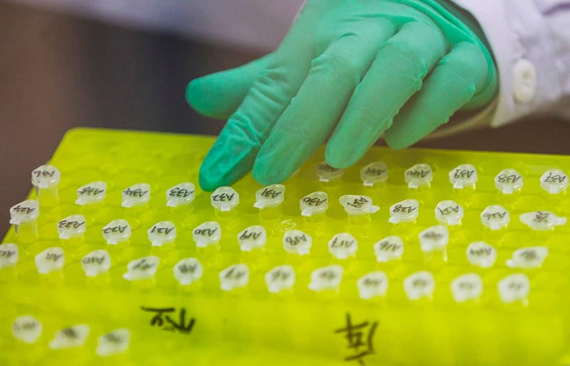 Beijing has ordered an investigation.