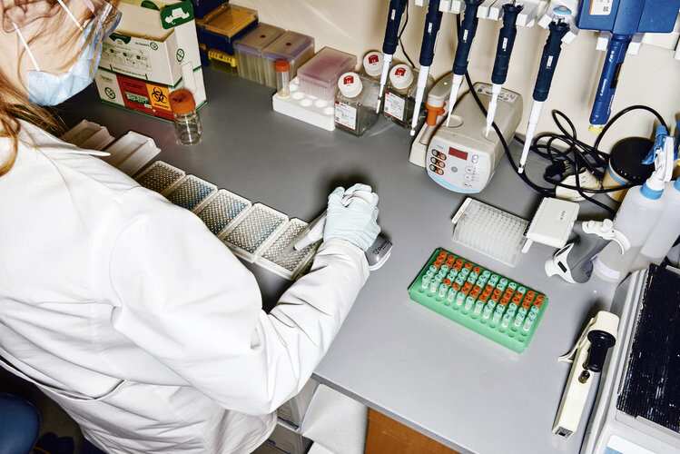 Prototype Vaccine Protects Monkeys From Coronavirus