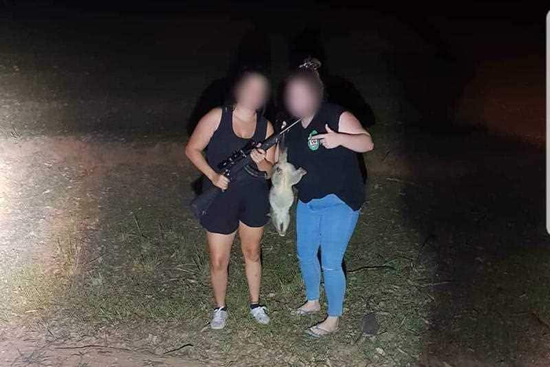 Footage shared by the RSPCA of another possum attack.