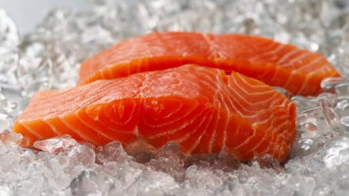 Salmon