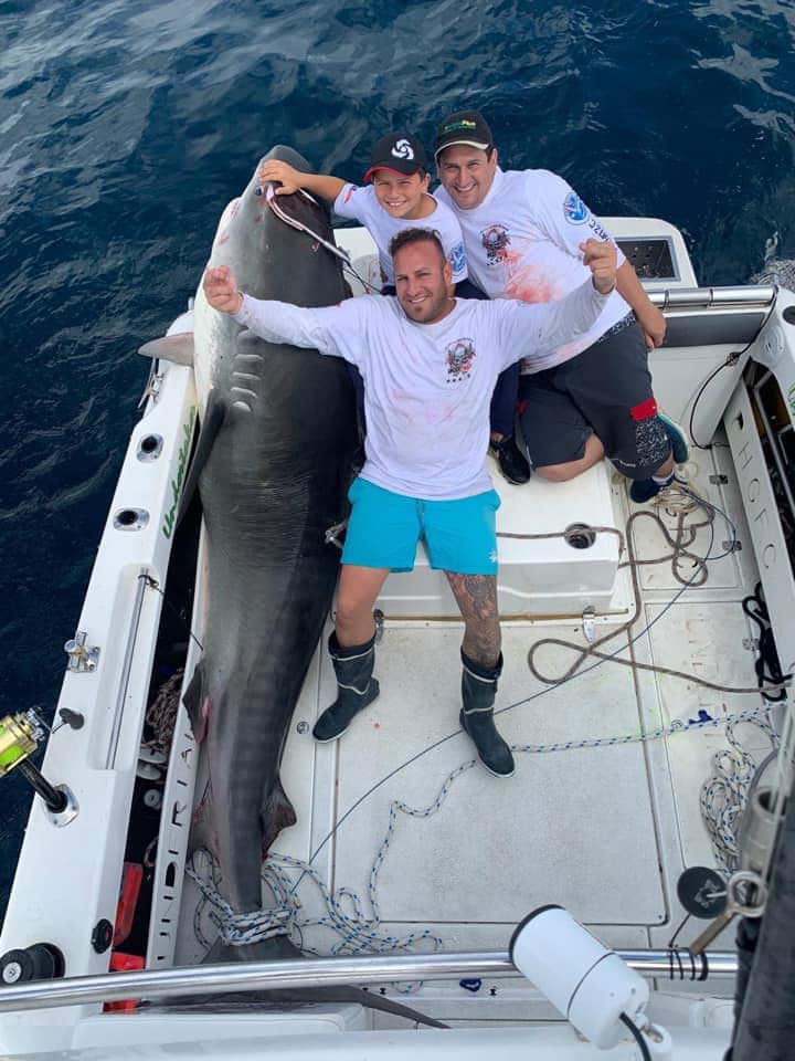 Sydney boy, 8, reels in massive tiger shark in record-breaking catch