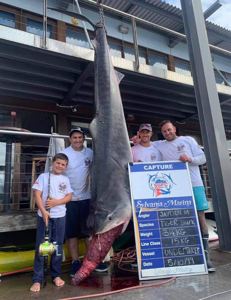 Sydney boy, 8, reels in massive tiger shark in record-breaking catch