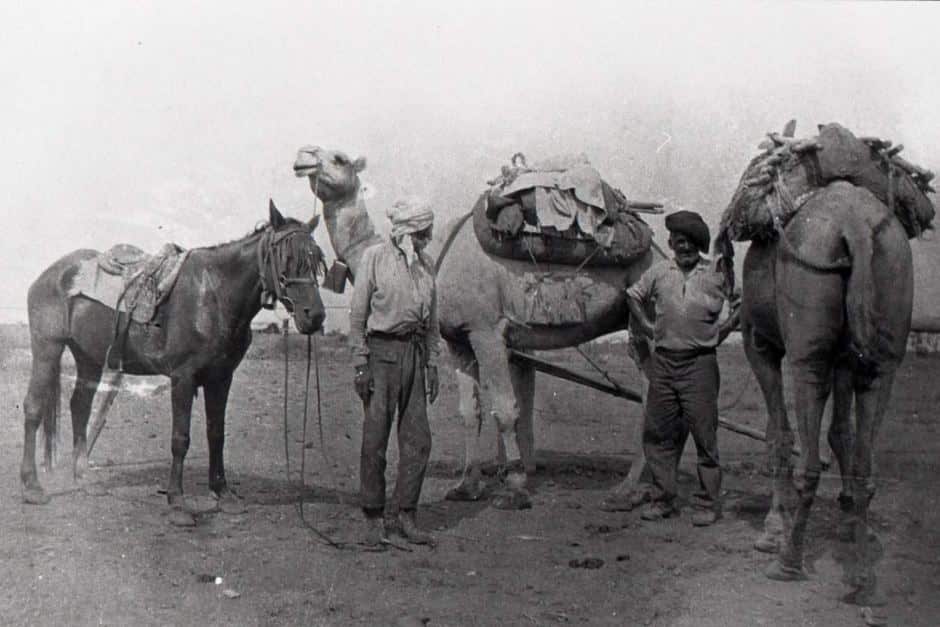 Afghan Cameleers