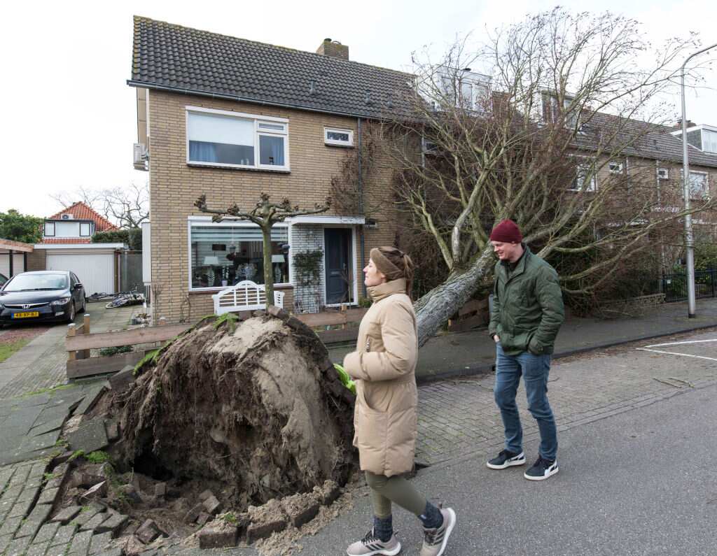 People look at a tree that has been uprooted by Storm Eunice in Wassenaar, The Netherlands.