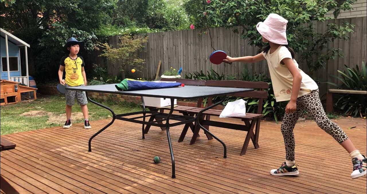 Play table tennis