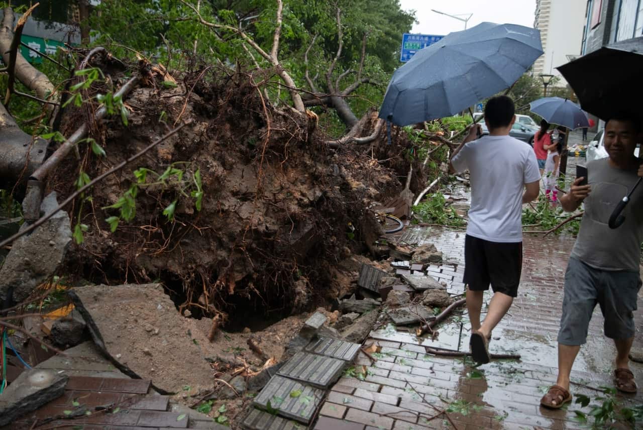 Trees are uprooted by strong wind caused by Typhoon Mangkhut, the 22nd typhoon of the year, on a street in Shenzhen city