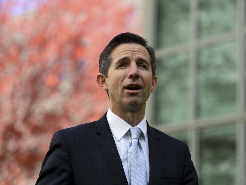Acting Foreign Affairs Minister Simon Birmingham.