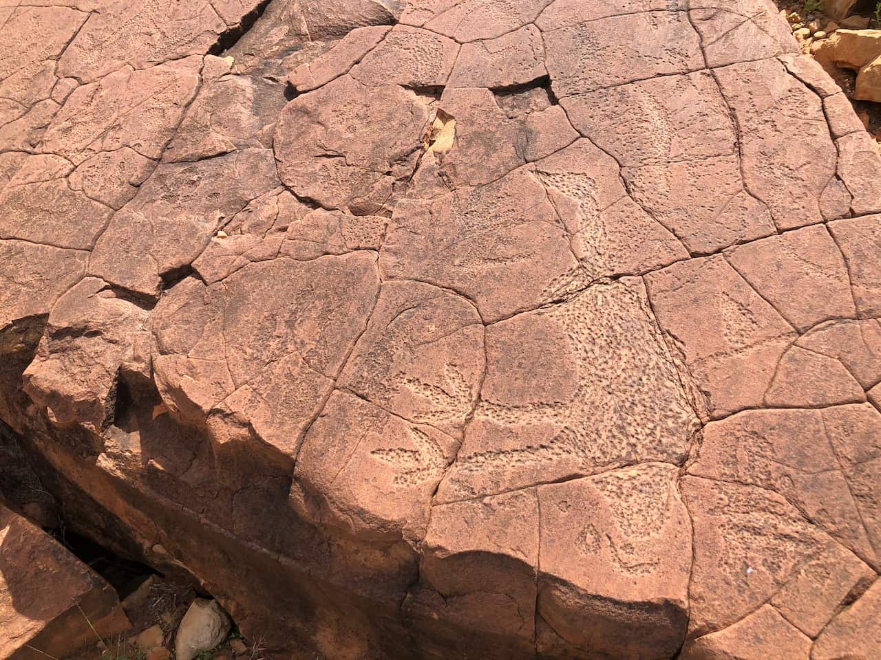 An emu is engraved into rock at Mutawintji National Park. 