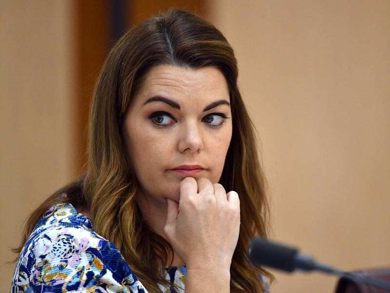 Greens senator Sarah Hanson-Young launched a crowdfunding campaign to help cover the legal costs in her defamation action against fellow senator David Leyonhjelm.
