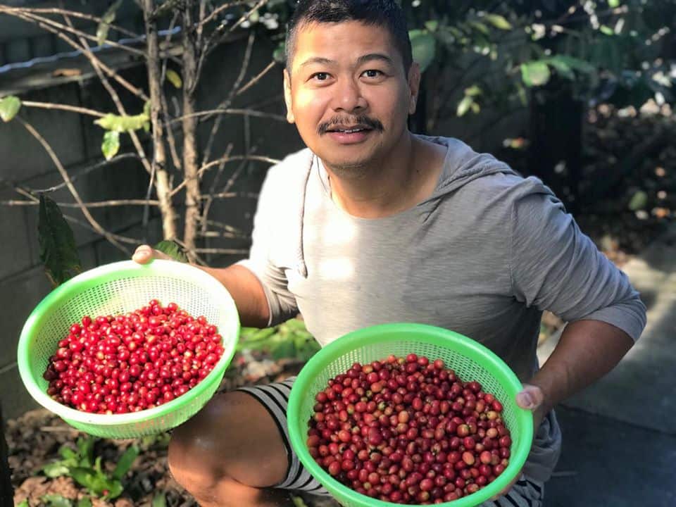 coffee mentality, brisbane, cafe