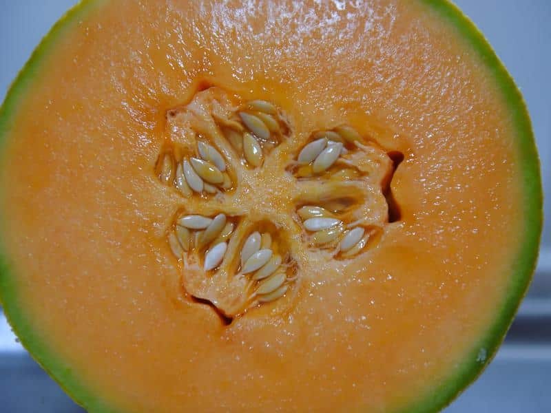 A Rockmelon