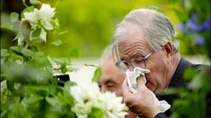 Old people and Hayfever