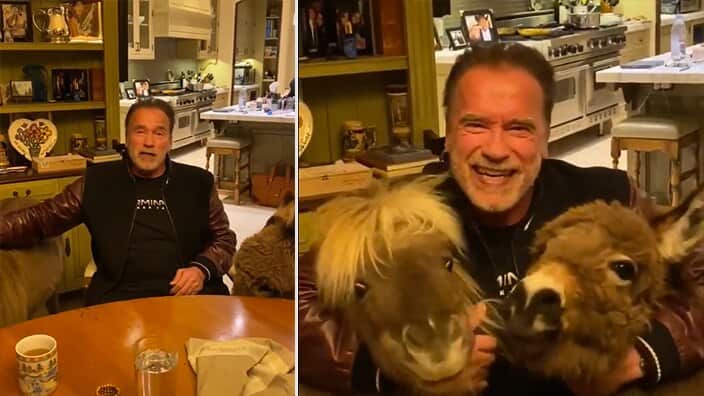 Arnold Schwarzenegger