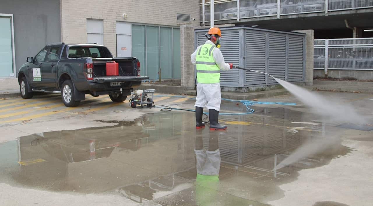 Le Ho launched SS Group in 2016.