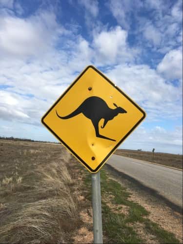 Innogy Australia Limondale Solar Power Plant